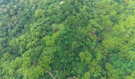 Development Land (Residential) for Sale Kingston &