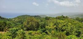Development Land (Residential) for Sale St. James,
