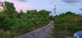Development Land (Residential) for Sale St. James,
