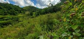 Development Land (Residential) for Sale St. James,