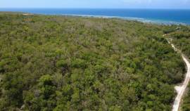 Development Land (Residential) for Sale Trelawny, 