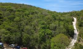 Development Land (Residential) for Sale Trelawny, 