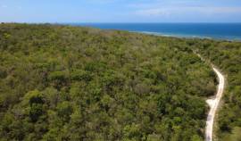 Development Land (Residential) for Sale Trelawny, 