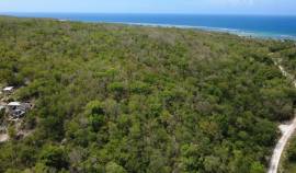 Development Land (Residential) for Sale Trelawny, 