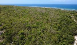 Development Land (Residential) for Sale Trelawny, 