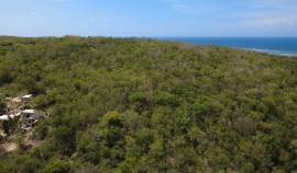 Development Land (Residential) for Sale Trelawny, 