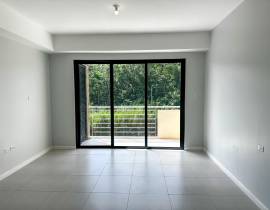 Apartment for Rent Manchester, Mandeville