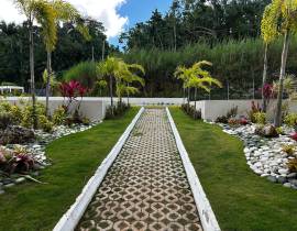 Apartment for Rent Manchester, Mandeville