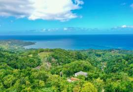 House for Sale St. James, Unity Hall