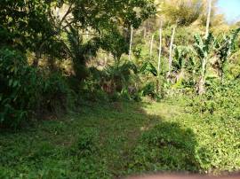 Development Land (Residential) for Sale St. Thomas