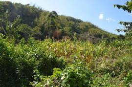 Development Land (Residential) for Sale St. Thomas
