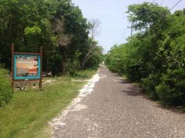 Development Land (Residential) for Sale Westmorela