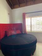 House for Sale Portland, Little Spring Garden