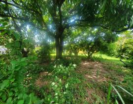 House for Sale Kingston & St. Andrew, Kingston 8