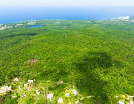 Development Land (Residential) for Sale St. Ann, B