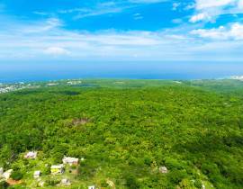 Development Land (Residential) for Sale St. Ann, B
