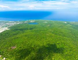 Development Land (Residential) for Sale St. Ann, B
