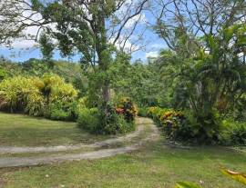 House for Sale St. James, Kempshot Pen