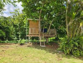 House for Sale St. James, Kempshot Pen