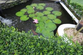 House for Sale Manchester, Mandeville