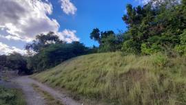 Development Land (Residential) for Sale St. Mary, 