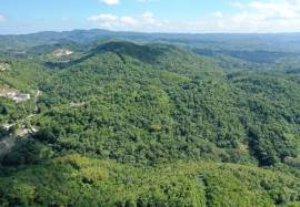 Development Land (Residential) for Sale St. James,