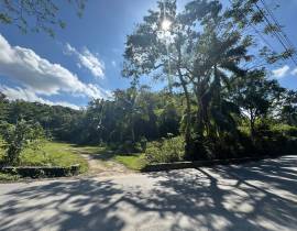 Development Land (Residential) for Sale St. James,