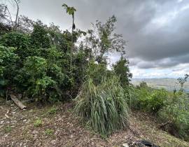 Development Land (Residential) for Sale Kingston &