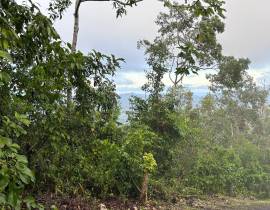 Development Land (Residential) for Sale Kingston &