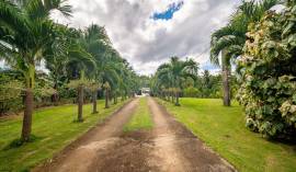 House for Sale Trelawny, Duanvale