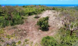 Development Land (Residential) for Sale Trelawny, 