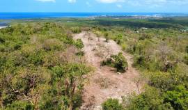 Development Land (Residential) for Sale Trelawny, 