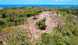 Development Land (Residential) for Sale Trelawny, 