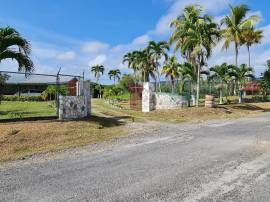 Farm/Agriculture for Sale St. Mary, Hampstead