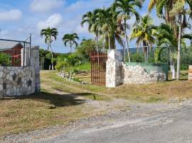 Farm/Agriculture for Sale St. Mary, Hampstead