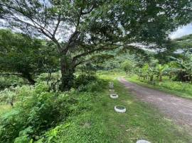Development Land (Residential) for Sale St. Mary, 