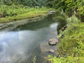 Development Land (Residential) for Sale St. Mary, 