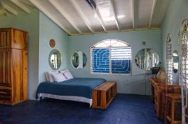 House for Sale Portland, Port Antonio