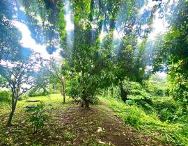 House for Sale Kingston & St. Andrew, Kingston 6