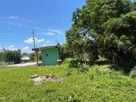 Commercial Bldg/Offices for Sale St. Elizabeth, Sa