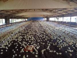 Development Land (Residential) for Sale St. Cather