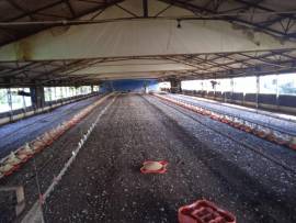 Development Land (Residential) for Sale St. Cather