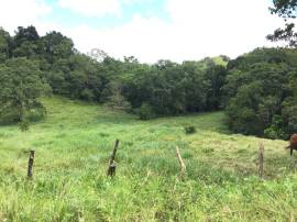 Development Land (Residential) for Sale St. Ann, B