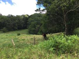 Development Land (Residential) for Sale St. Ann, B