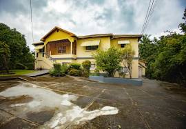 House for Sale Portland, Port Antonio
