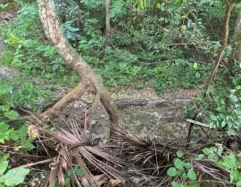 House for Sale St. Ann, Drax Hall Estate