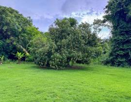 House for Sale St. Ann, Drax Hall Estate