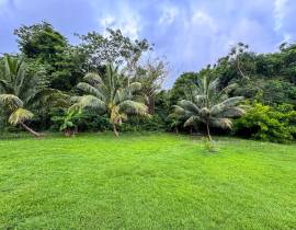 House for Sale St. Ann, Drax Hall Estate