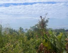 Residential Lot for Sale Kingston & St. Andrew, Re