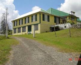 House for Sale St. Ann, Moneague